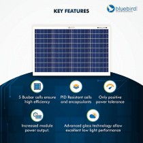 40 Watt 12 Volt Polycrystalline Solar Panels Bluebird