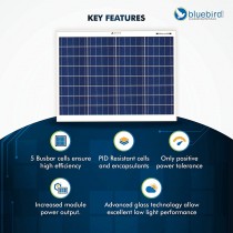 50 Watt 12 Volt Polycrystalline Solar Panels Bluebird