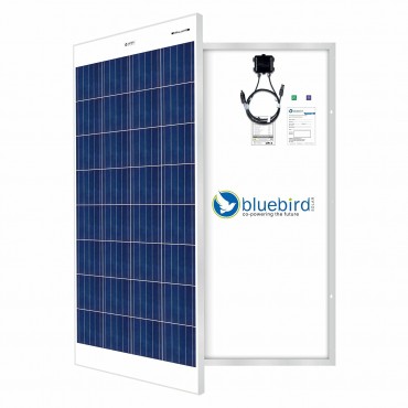 Bluebird 150 Watt 12 Volt Polycrystalline Solar Panels, BIS Certified