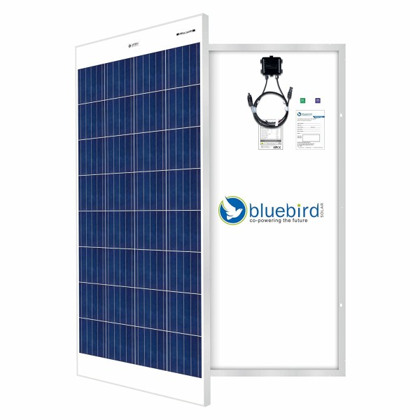 Bluebird 150 Watt 12 Volt Polycrystalline Solar Panels, BIS Certified