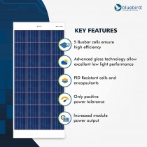 Bluebird 150 Watt 12 Volt Polycrystalline Solar Panels, BIS Certified