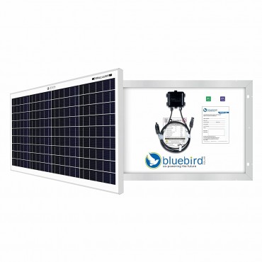 50 Watt - 12 Volt Monocrystalline PERC Bluebird Solar Panel