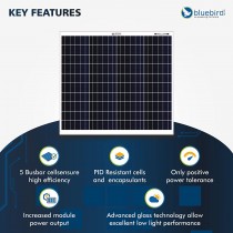 75 Watt 12 Volt Mono crystalline PERC Solar Panels Bluebird
