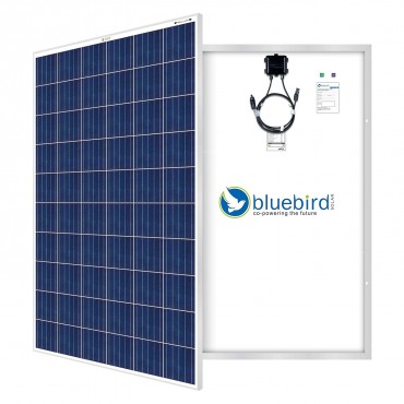 Bluebird 275 Watt 24 Volt Polycrystalline Solar Panels, BIS Certified