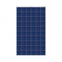 Bluebird 275 Watt 24 Volt Polycrystalline Solar Panels, BIS Certified